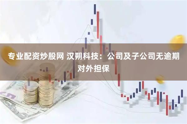 专业配资炒股网 汉朔科技：公司及子公司无逾期对外担保