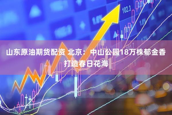 山东原油期货配资 北京：中山公园18万株郁金香打造春日花海